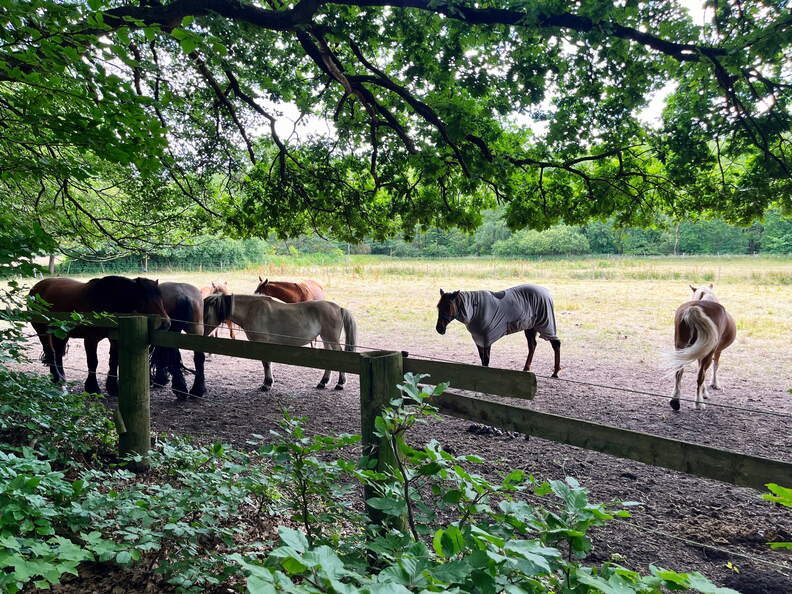 24-06-24 12-03-14 9829